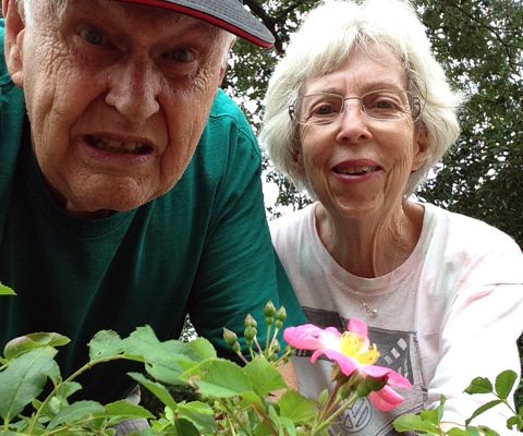 A senior couple is working in the garden.